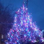 Open Christmas tree lighting